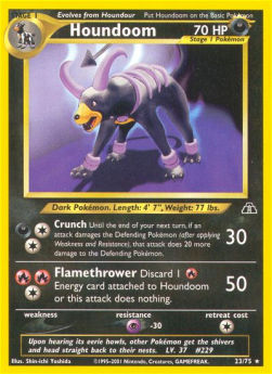 Houndoom - Neo Discovery (Rare) [NDI-23]