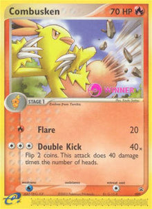 Combusken - Nintendo Black Star Promos (Promo) [NP-9]
