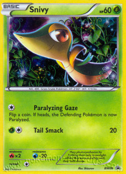 Snivy - BW Black Star Promos (Promo) [BW-06]