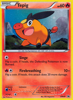 Tepig - BW Black Star Promos (Promo) [BW-07]