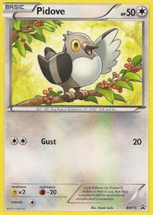 Pidove - BW Black Star Promos (Promo) [BW-15]
