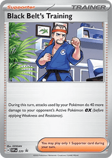 Black Belt's Training - SV Black Star Promos (Promo) [SVP-220]