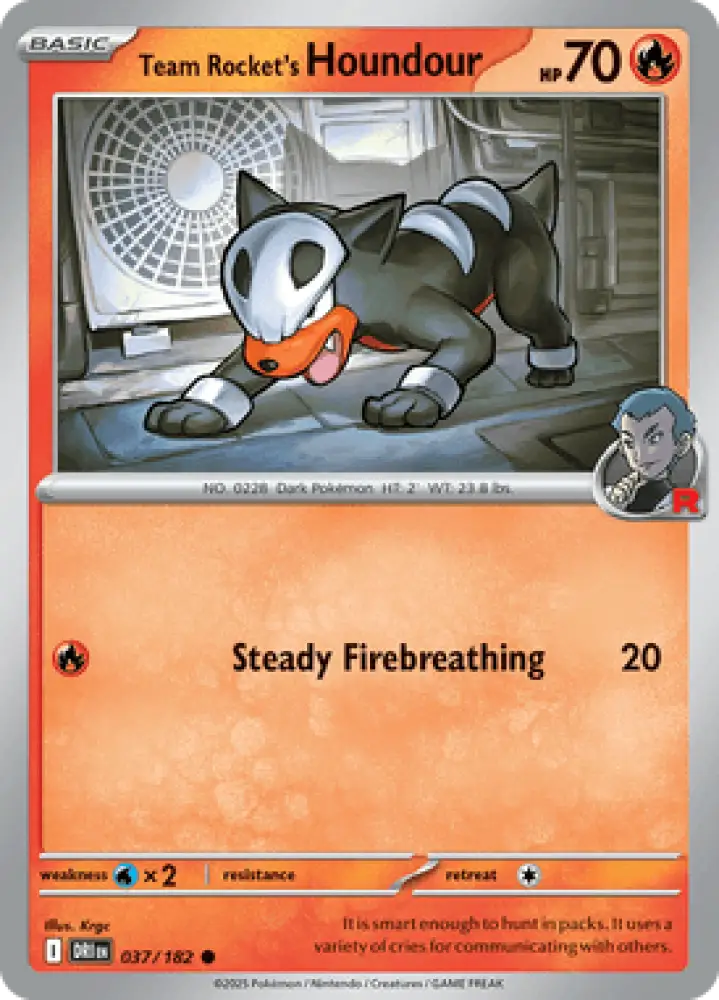 Destined Rivals Team Rocket’s Houndour 037/182 Englisch - Sammelkarten
