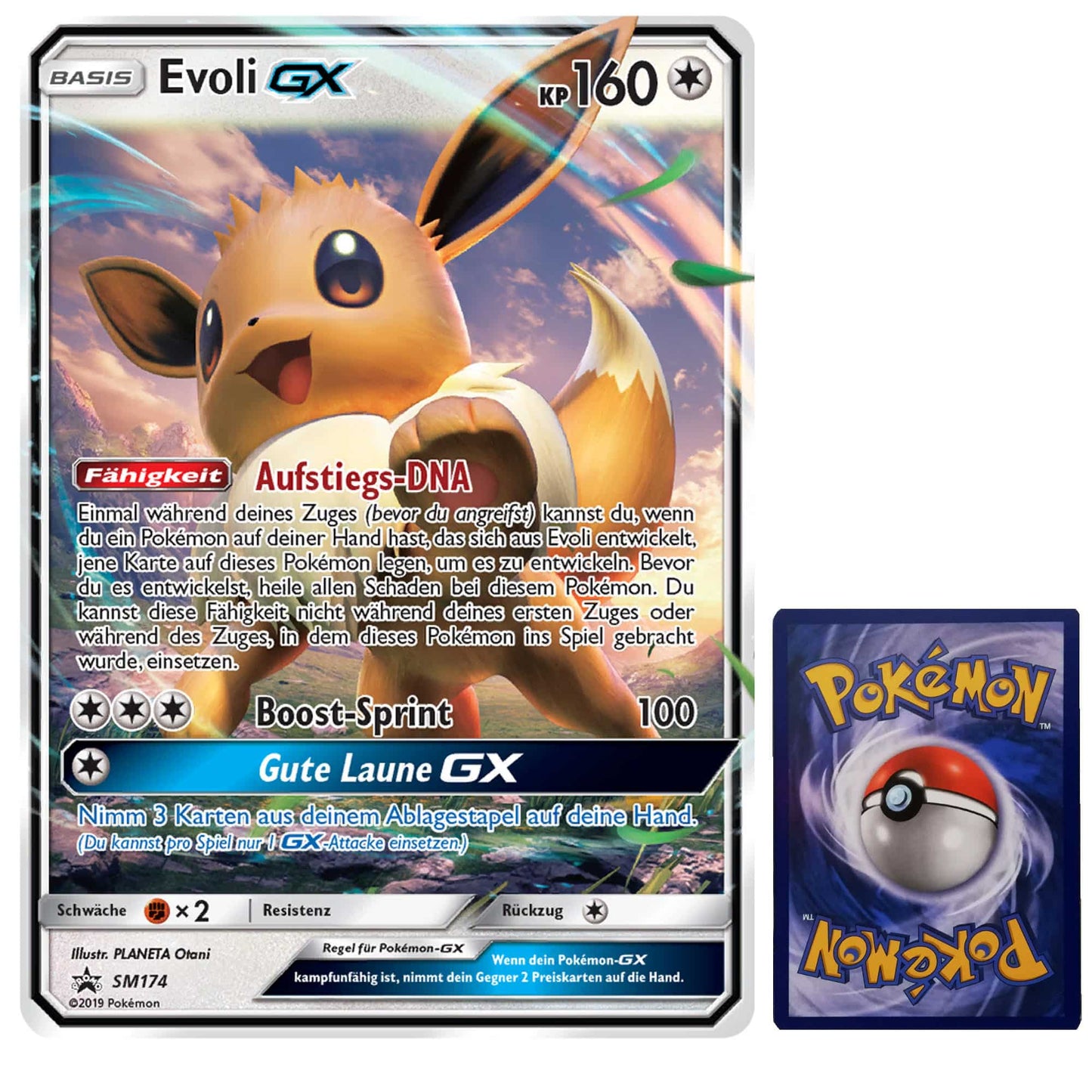 Evoli GX XXL Pokemon Karte SM174 DE