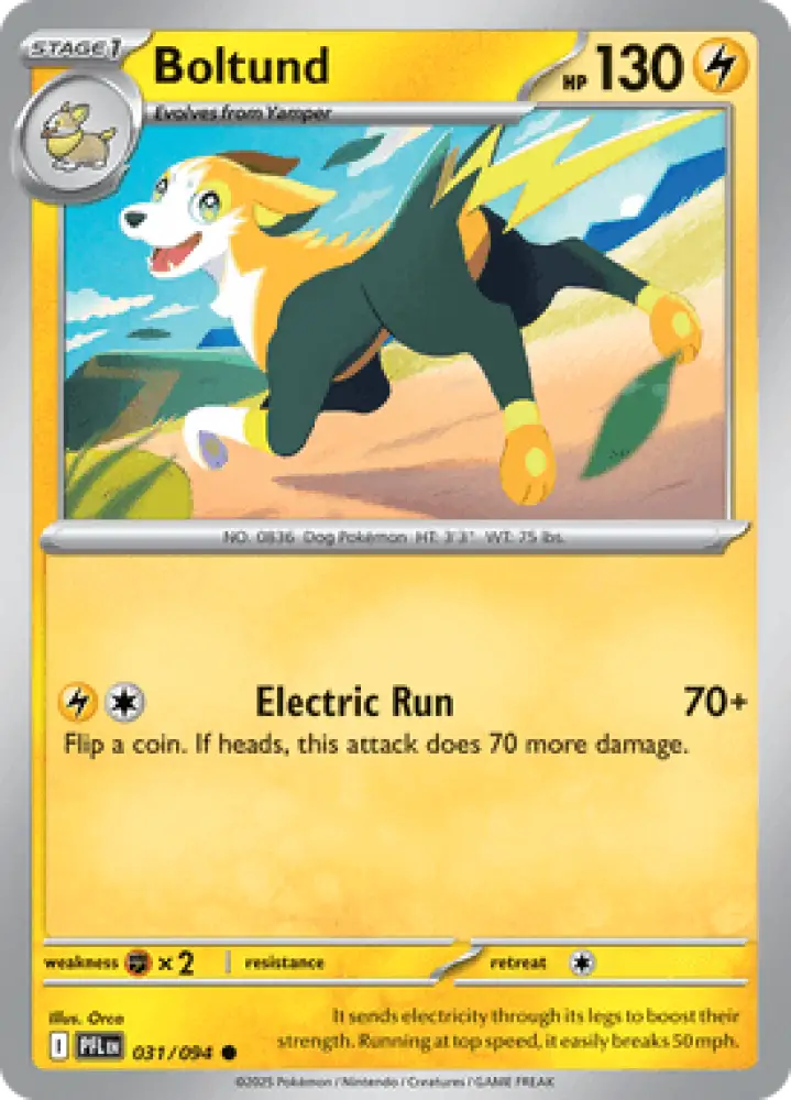 Phantasmal Flames Boltund 031/094 Englisch - Sammelkarten