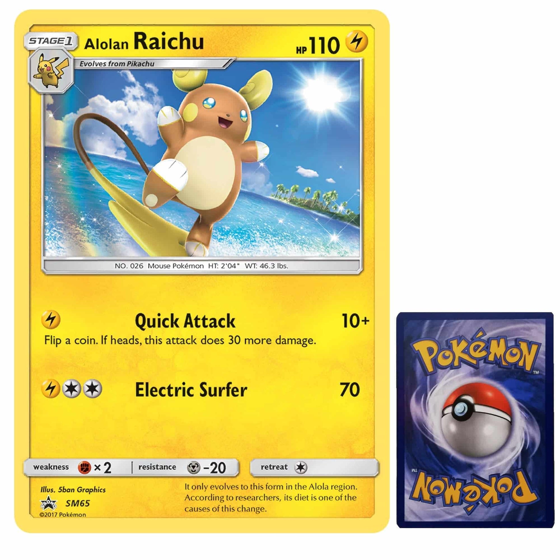 Pokemon XXL Karte Alolan Raichu SM65 Jumbo Karte Englisch