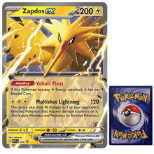 Zapdos EX Pokemon XXL Karte SVP049 Englisch - Sammelkarten